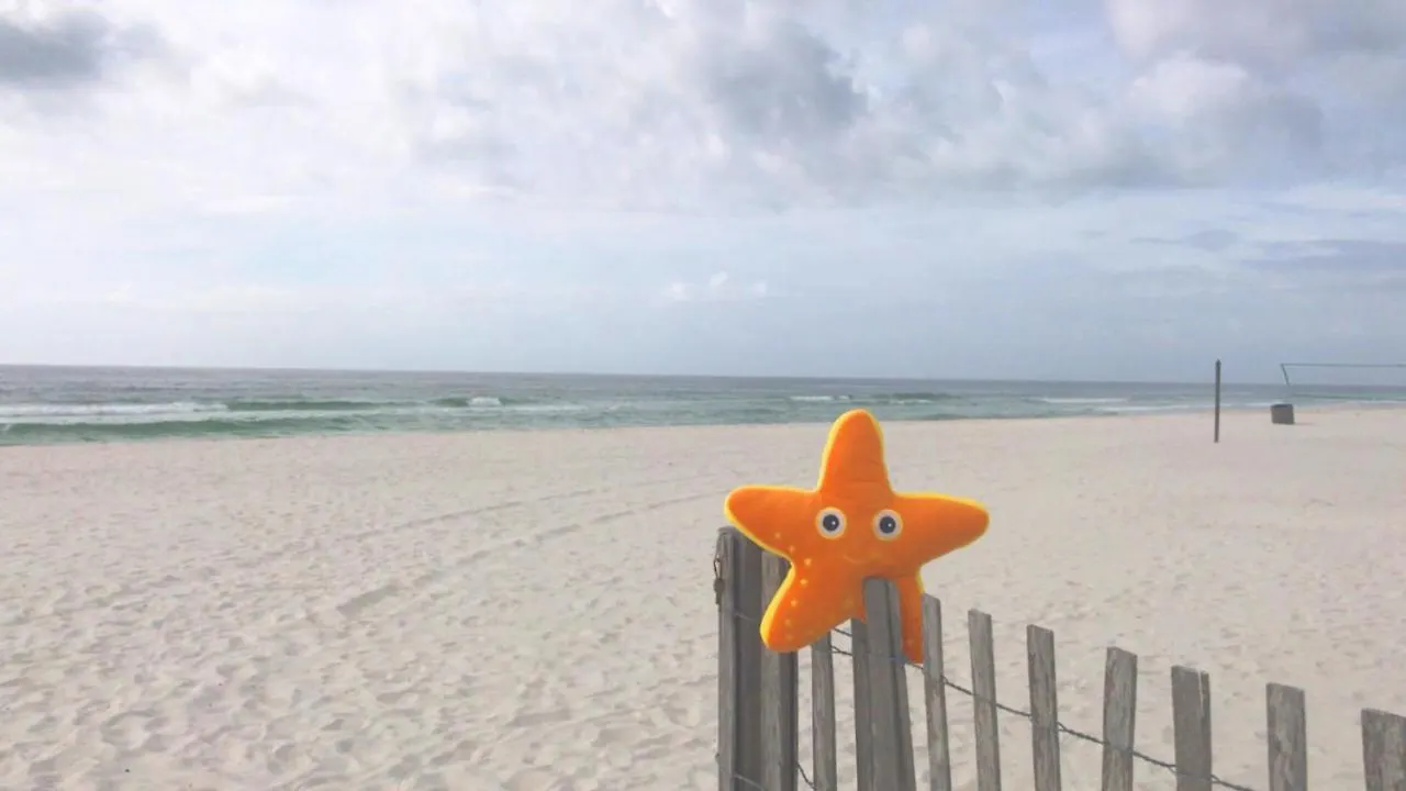 Holiday home Edgewater 3-1009 'Paradise Palms' Panama City Beach United States